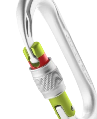 Edelrid Oval Power 2500 Screw silver Edelrid Oval Power 2500 Screw silver