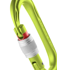 Edelrid Oval Power 2500 Screw oasis