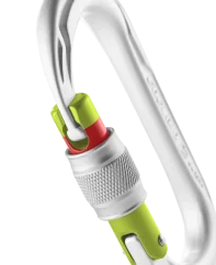 Edelrid Oval Power 2500 Screw silver
