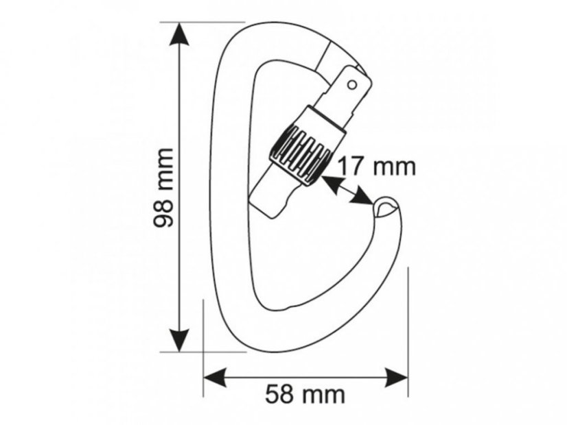 CAMP Orbit Lock D karabina