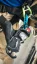 Edelrid Megawatt