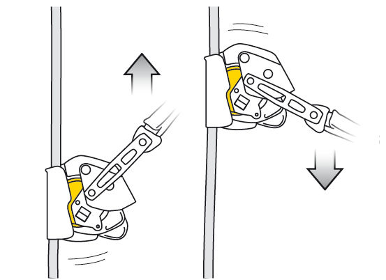 Petzl Asap Lock