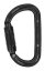 D karabina Petzl Am´D RL