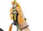 Petzl ZILLON
