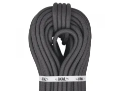 Beal Raider Tactic 11 mm aramid. lano