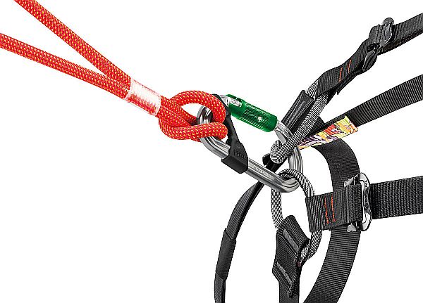 D karabina Petzl Am´D PL
